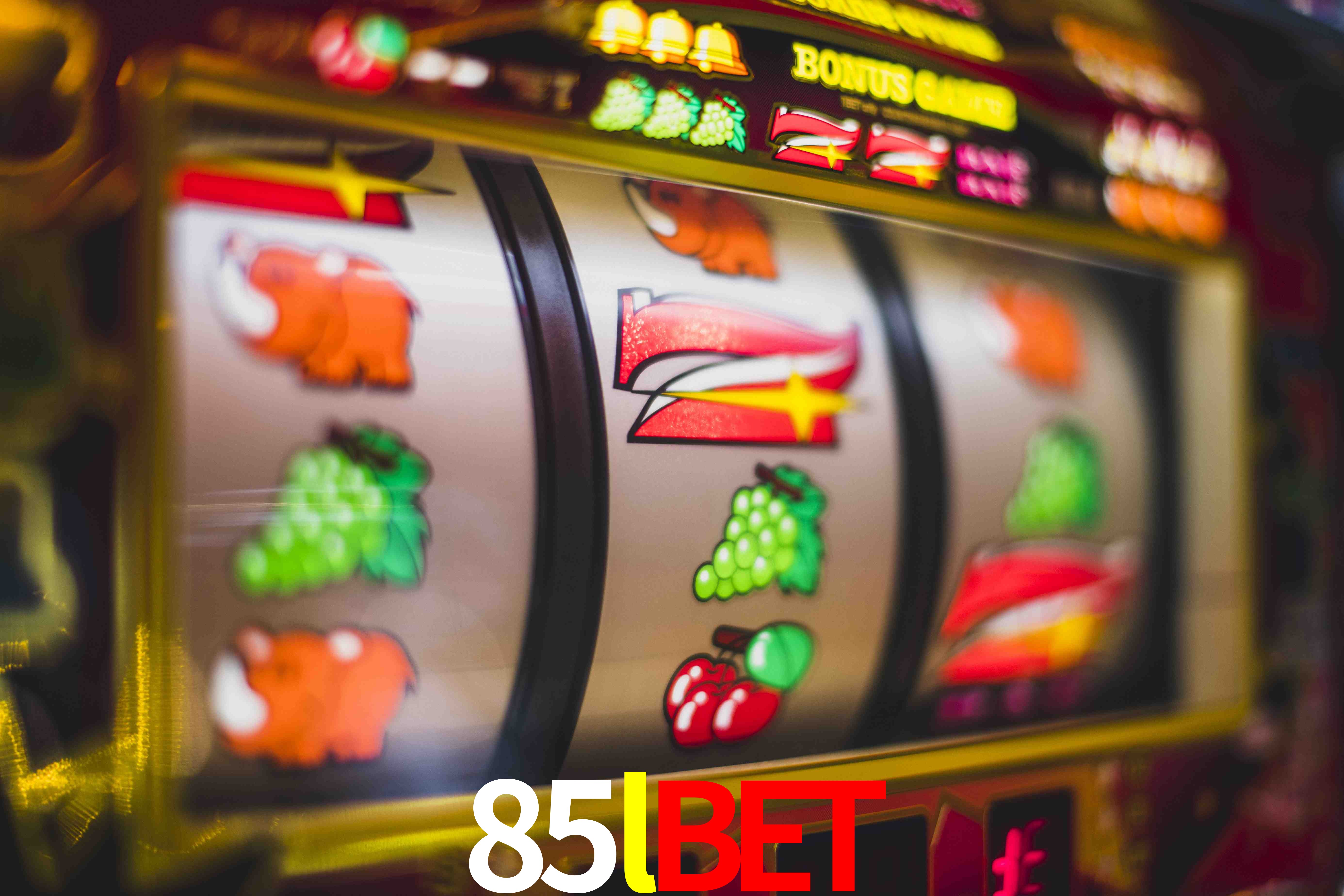 Statistics 85lbet